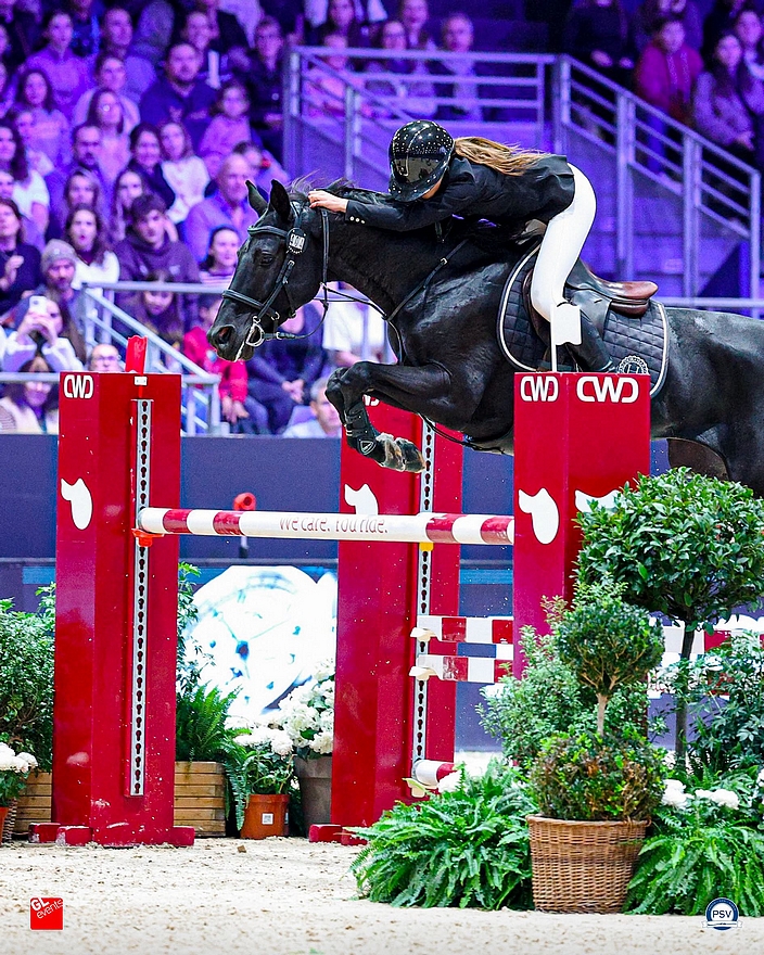 Excellente sortie là encore d'Anna Pouzadoux Brille et Harmony de Curaine. Double 0 et très rapide, le couple obtient la troisième place du Grand Prix - GL events / PSV